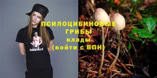 скорость Алзамай