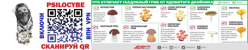 дарнет шоп  Нижняя Салда  Галлюциногенные грибы Cubensis 